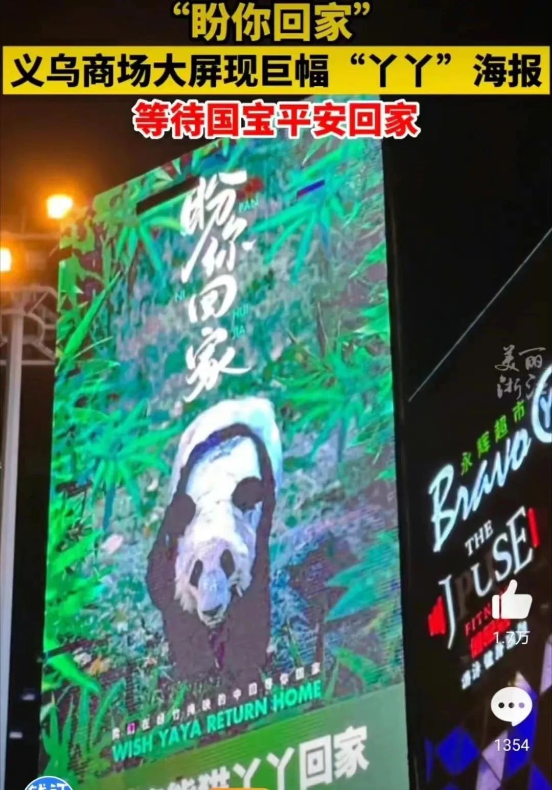 不到2岁的大熊猫宝新，被成都基地养死了