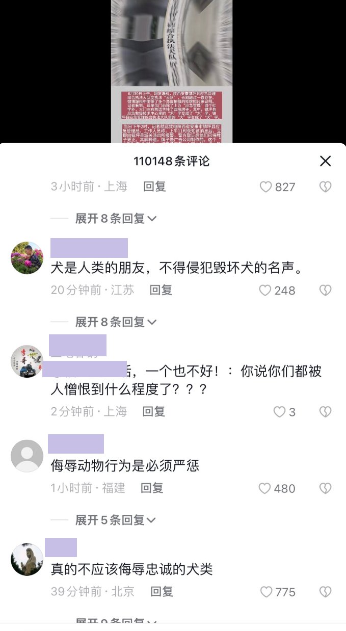 上海大概是穷疯了