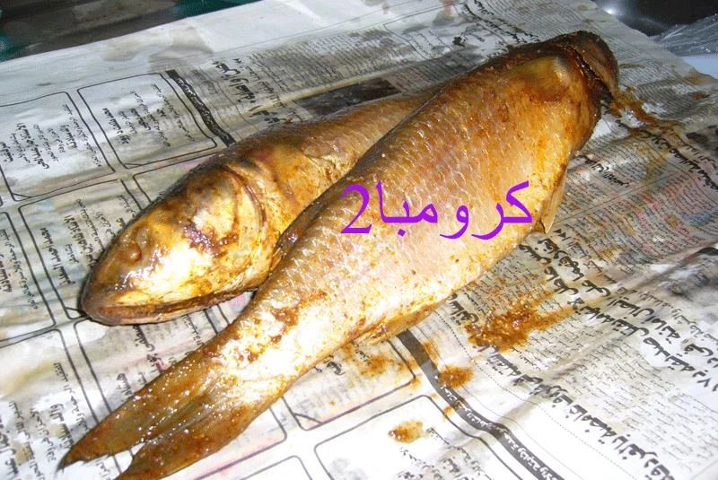 埃及人的国菜，每一口都是通向冥府的舌吻