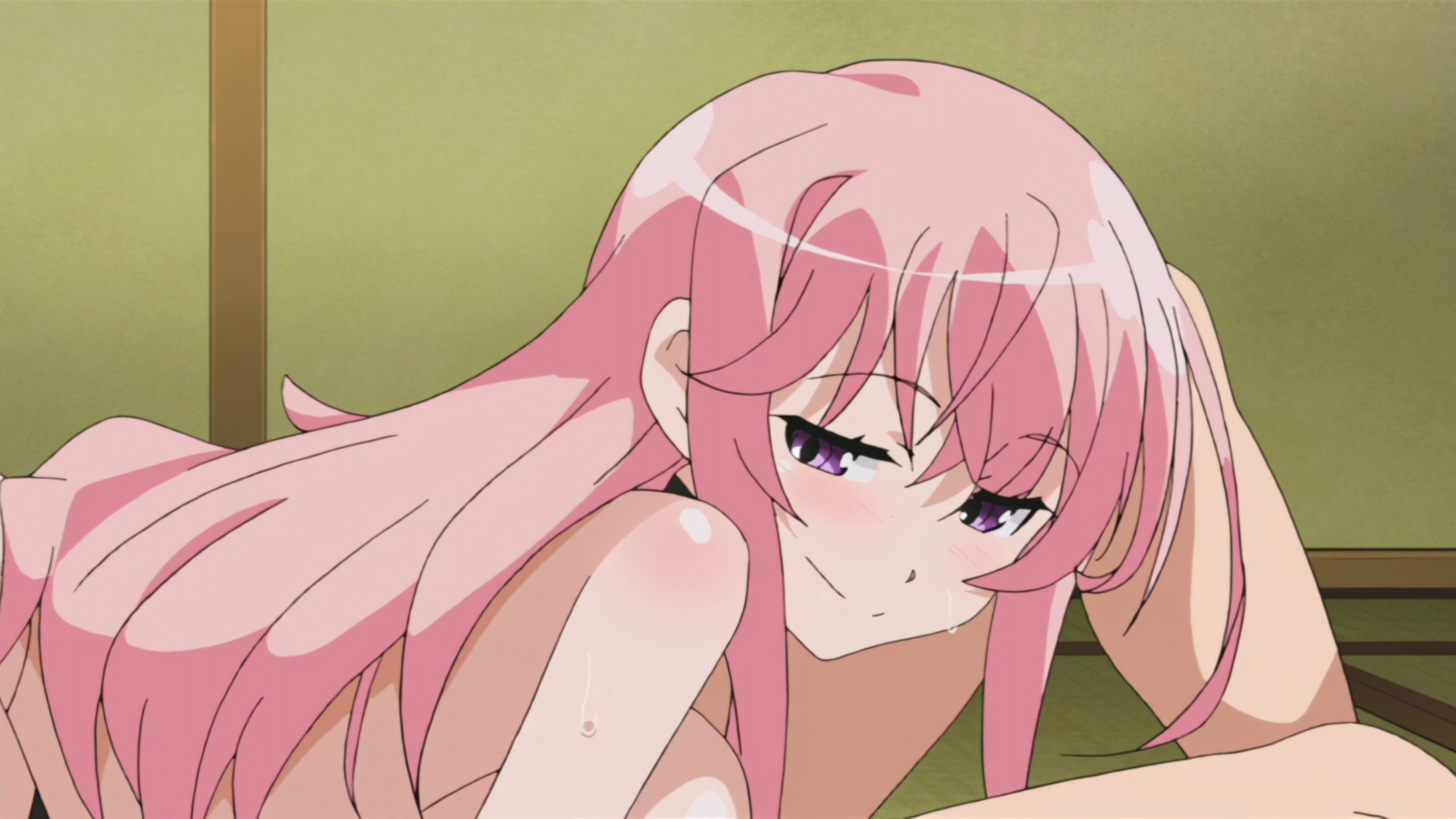 _ピンクパイナップル_ なまイキ ～生粋荘（きっすいそう）へようこそ！～ THE ANIMATION _WEB AI 2560X1440 x265 AAC_.mkv_20240609_015710.393.png