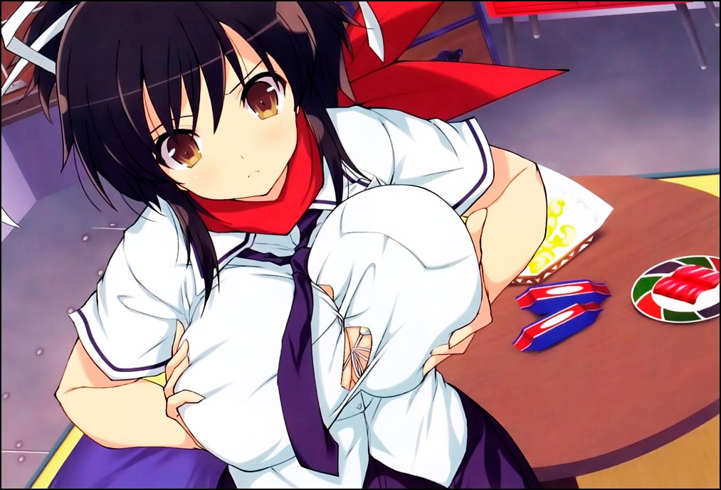 图片[2]-【大作ACT/中文/魔改步兵】闪乱神乐 Estival Versus -少女们的选择+邪恶魔改MOD整合【18.9G/全CV】-嘤嘤怪之家