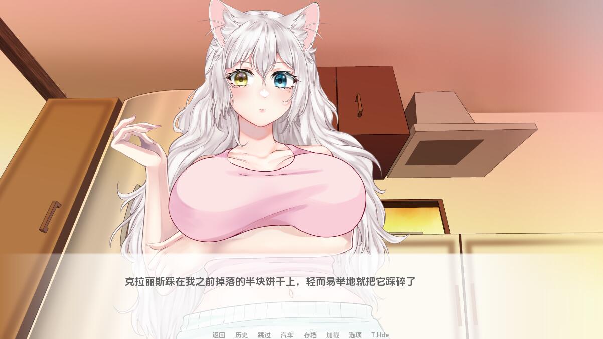 [SLG/汉化] 猫女 涅槃米糠 Nezumicon-v0.1.23 PC+安卓汉化版 [多空/4G/微云直连]-第2张-游戏-风花雪月-ACG交流分享论坛