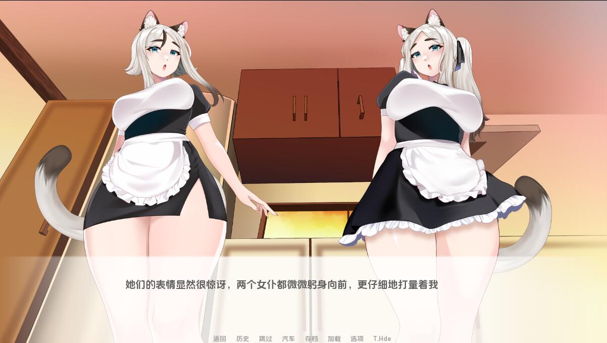 [SLG/汉化] 猫女 涅槃米糠 Nezumicon-v0.1.23 PC+安卓汉化版 [多空/4G/微云直连]-第3张-游戏-风花雪月-ACG交流分享论坛