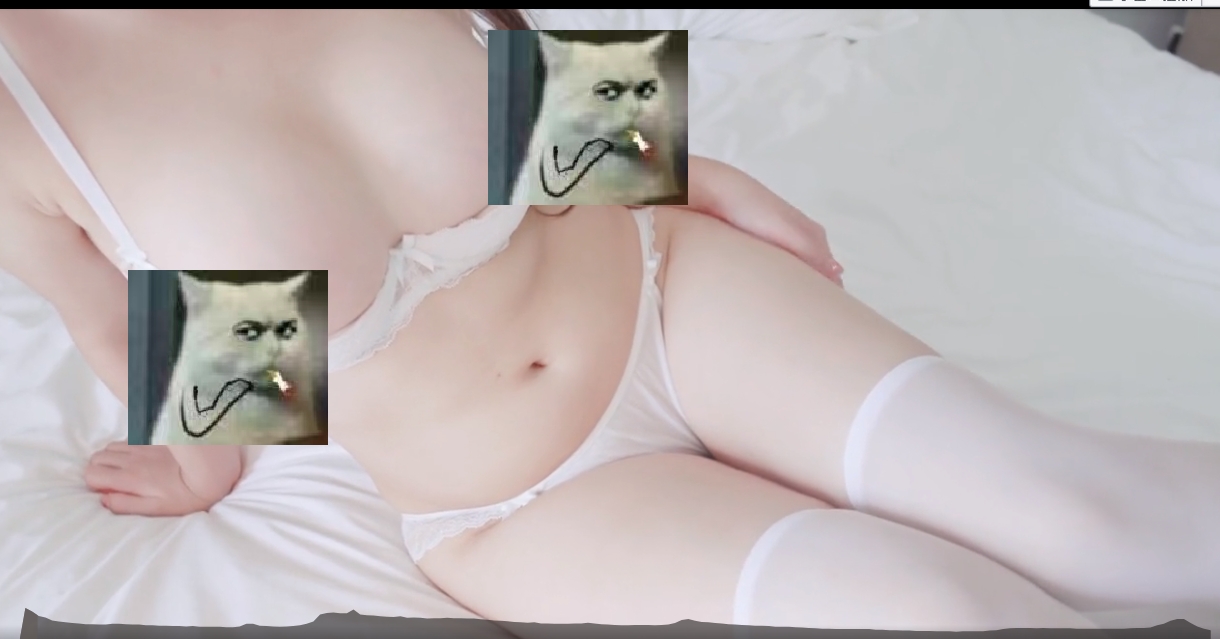 图片[4]-【COS/视频/步兵大合集】P站福利姬MeeHuTao(米胡桃)：fansly赞助视频大合集 [99V]【48G】-嘤嘤怪之家