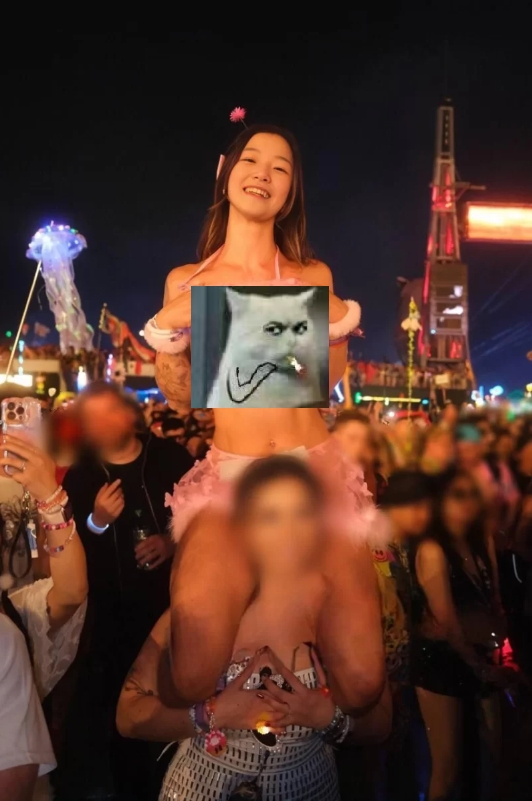 图片[1]-【写真/视频/合集】北美留学UP：Sophia刘 美国拉斯维加斯EDC电音节 露点直播+流出视频合集[2V 24P]【300M】-嘤嘤怪之家