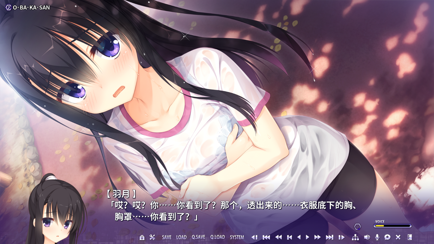 [日系ADV/汉化] 谜语小丑 RIDDLE JOKER 官方中文版 [多空/9G/微云直连]-第4张-游戏-次元小屋-ACG交流分享论坛