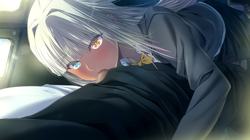 [ADV/PC] 极限痴汉特异点NEO 通常版 + 后宫补丁 極限痴漢特異点ＮＥＯ [FM/4G/百度微云]-第6张-游戏-次元小屋-ACG交流分享论坛