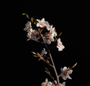 早上的第一泡尿,小便就能反应前列腺健康 ! 早上的第一泡尿,小便就能反应前列腺健康 !