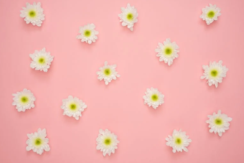 两个月前检查发现前列腺囊肿,现在没有了,是康复了吗? 两个月前检查发现前列腺囊肿,现在没有了,是康复了吗?