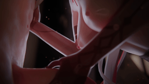 [3D动画/无修][chekibrek][251117] Arlecchino  [300M]