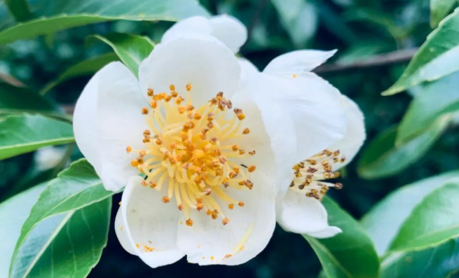 如何判断前列腺是否健康 ?从这几个方面. 如何判断前列腺是否健康 ?从这几个方面.