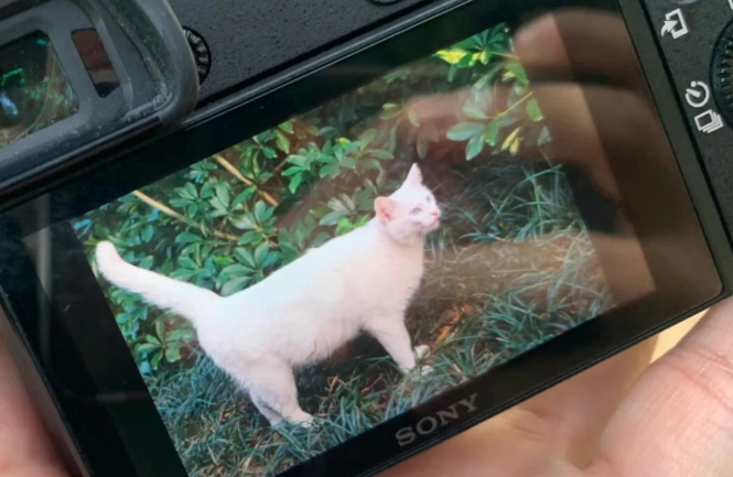 治疗前列腺炎的药物,会影响性能力吗 ? 治疗前列腺炎的药物,会影响性能力吗 ?