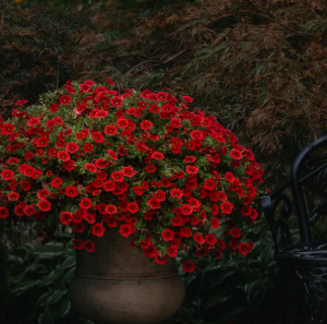 到了秋冬季节,前列腺受凉,会引起哪些症状? 到了秋冬季节,前列腺受凉,会引起哪些症状?