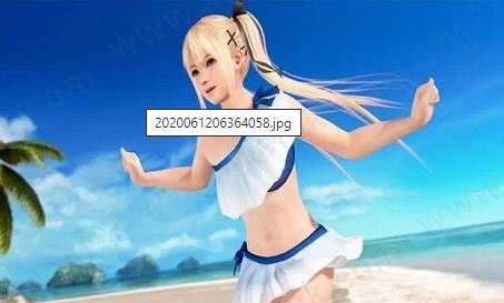 性感沙滩4 终极汉化版 +人物档整合包