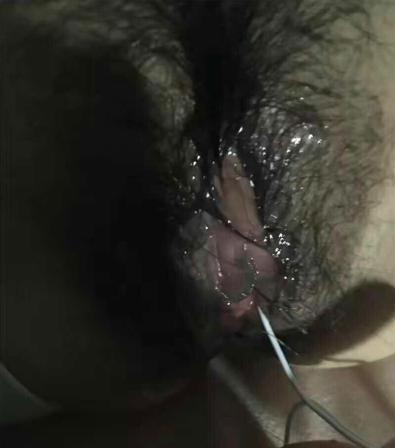 水汪汪的私处真诱人[15P]