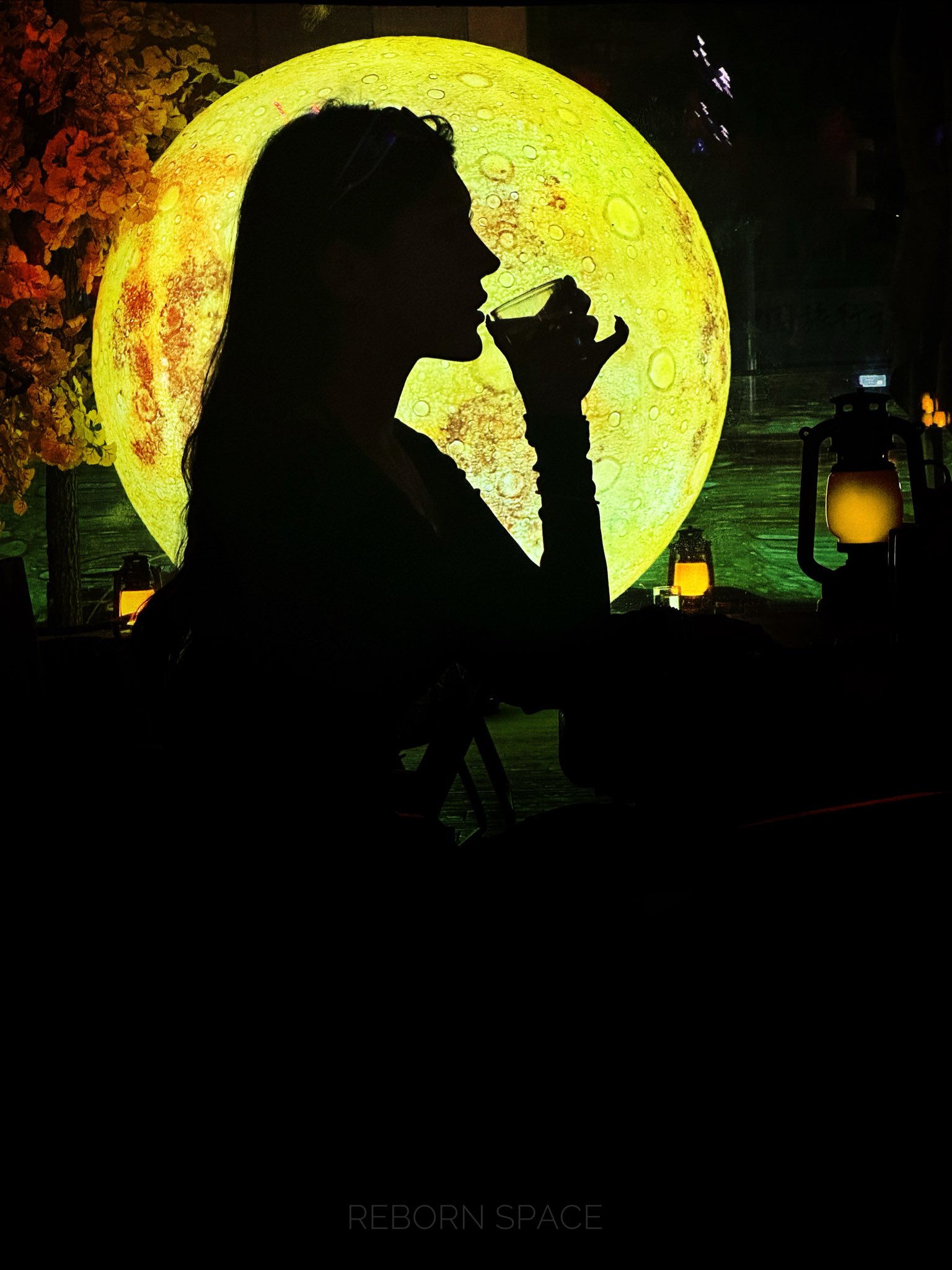 少妇诱惑媚态极致[99P]