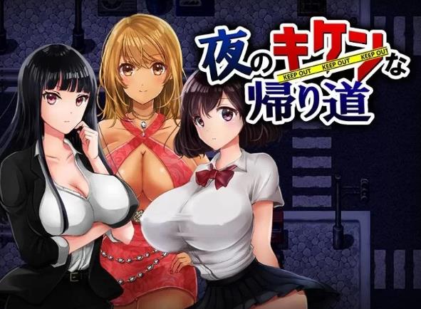 晚上危险的回家路~绑架监禁调教 V2.0