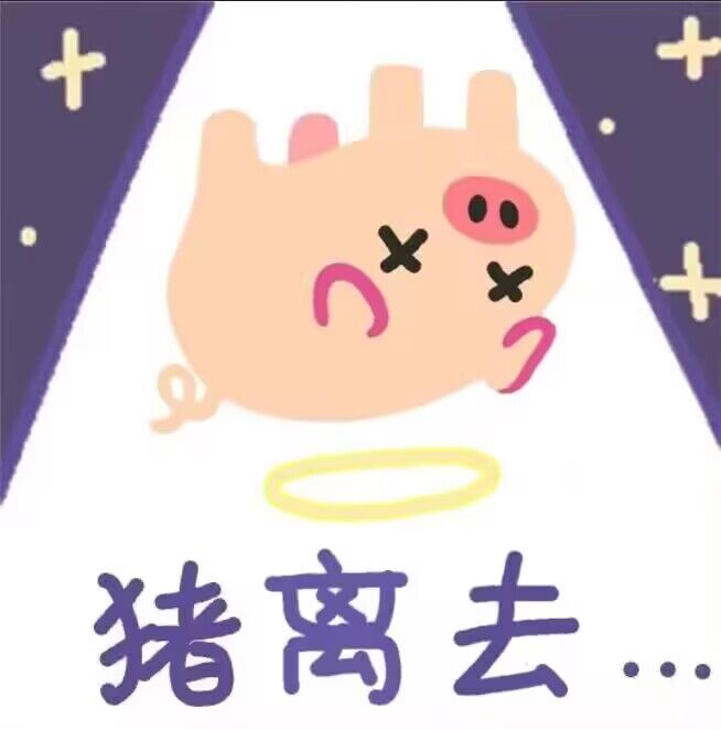 pighub图片简单概括游戏