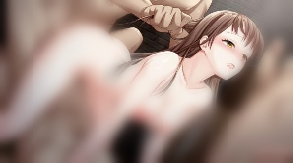 夏树的监禁生活 Ver1.10 官方中步兵文版+全回想